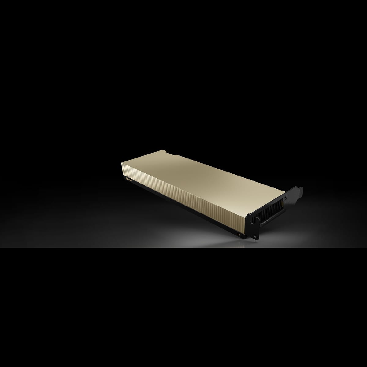 NVIDIA L4 24GB single-slot PCIe card seen from above at a three-quarter angle against a black background with a faint reflection beneath it. It is a short low-profile card with a flat champagne-gold shroud, an open fin stack visible at one end and a black bracket at the other. The card is passively cooled, with no fan.